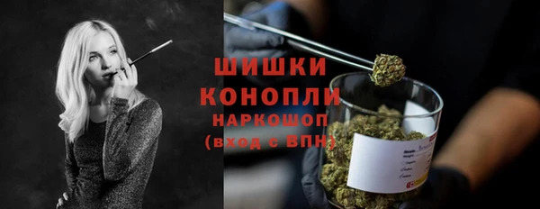 ешки Медногорск