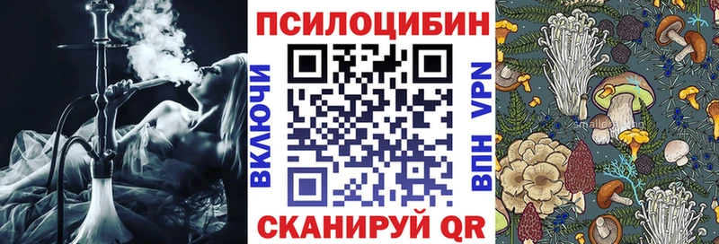 Псилоцибиновые грибы MAGIC MUSHROOMS  KRAKEN зеркало  Удачный  магазин  наркотиков 